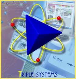 Triple Systems
